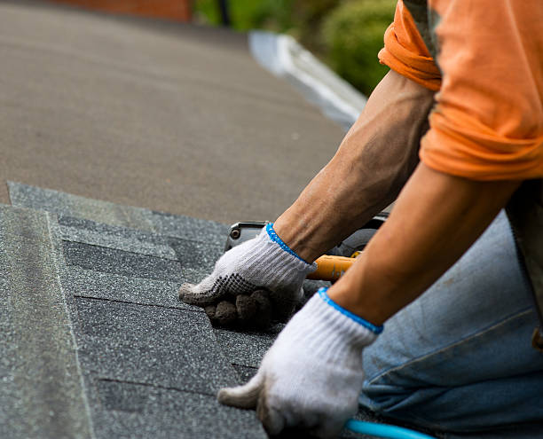 Best Shingle Roofing Installation  in Horse Cave, KY